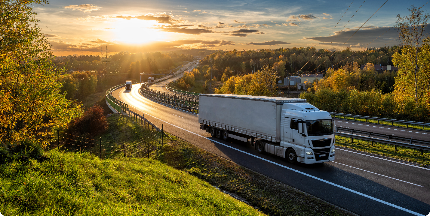 Sustentabilidade em foco